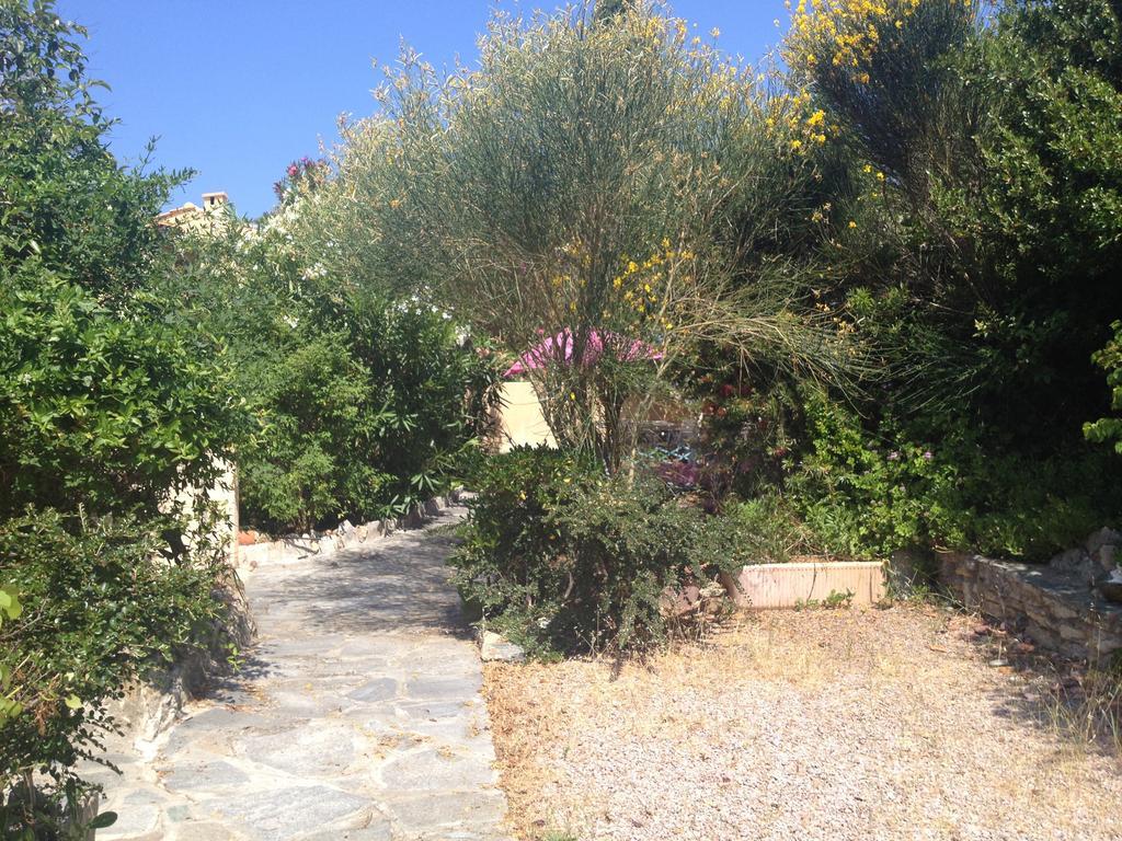 Studio Marine Du Soleil Patrimonio Εξωτερικό φωτογραφία